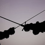 HEMA: Võ thuật thời Trung Cổ mê hoặc người hâm mộ ở Trung Quốc đại lục video poster