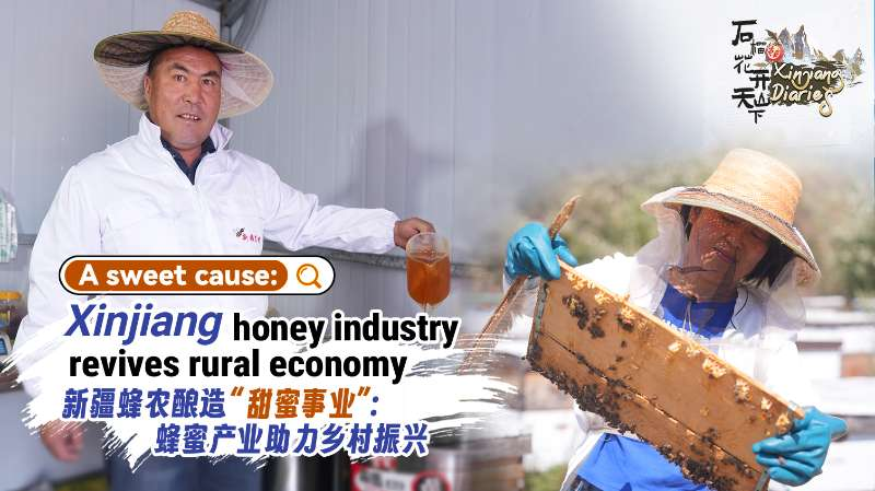 Hồi sinh ngọt ngào: Ngành công nghiệp mật ong Tân Cương thúc đẩy kinh tế nông thôn Hồi sinh ngọt ngào: Ngành công nghiệp mật ong Tân Cương thúc đẩy kinh tế nông thôn video poster
