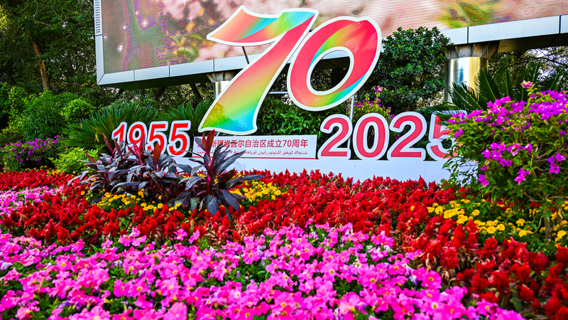 Tập Cận Bình kêu gọi nỗ lực đoàn kết để xây dựng một Tân Cương tươi đẹp