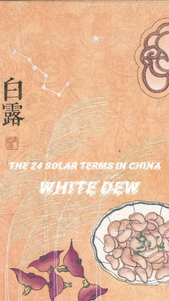Bạch Lộ Đến: Khoảnh Khắc Đậm Sương Thu Bạch Lộ Đến: Khoảnh Khắc Đậm Sương Thu video poster