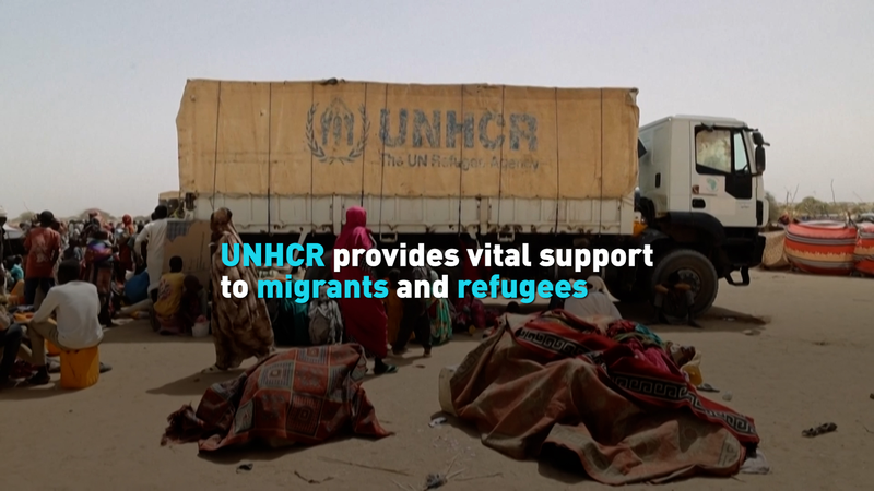 UNHCR Đẩy Mạnh Hỗ Trợ Người Di Cư Khi Liên Hợp Quốc Bước Sang Năm Thứ 80 UNHCR Đẩy Mạnh Hỗ Trợ Người Di Cư Khi Liên Hợp Quốc Bước Sang Năm Thứ 80 video poster