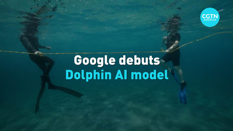 Google ra mắt DolphinGemma: AI học cách nói chuyện với cá heo Google ra mắt DolphinGemma: AI học cách nói chuyện với cá heo video poster