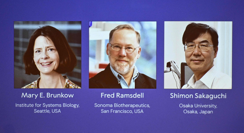 Giải Nobel 2025: Bộ ba giải mã sự dung nạp miễn dịch Giải Nobel 2025: Bộ ba giải mã sự dung nạp miễn dịch