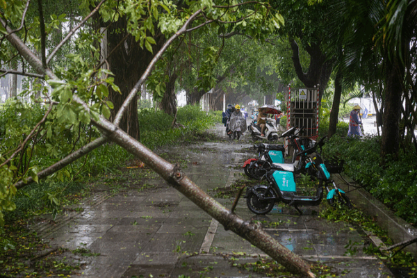 Bão Matmo suy yếu sau khi đổ bộ vào Quảng Tây trên đất liền Trung Quốc, các nỗ lực cứu trợ đang được tiến hành Bão Matmo suy yếu sau khi đổ bộ vào Quảng Tây trên đất liền Trung Quốc, các nỗ lực cứu trợ đang được tiến hành