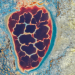 52KXPV39HFXXFHHWMNEW - Thế Giới Trong Tầm Tay Phép thuật mùa thu bên Hồ Ulan ở Nội Mông