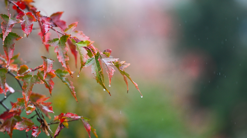 Trung Quốc phát hành cảnh báo bão mưa và gió mạnh cho nhiều khu vực