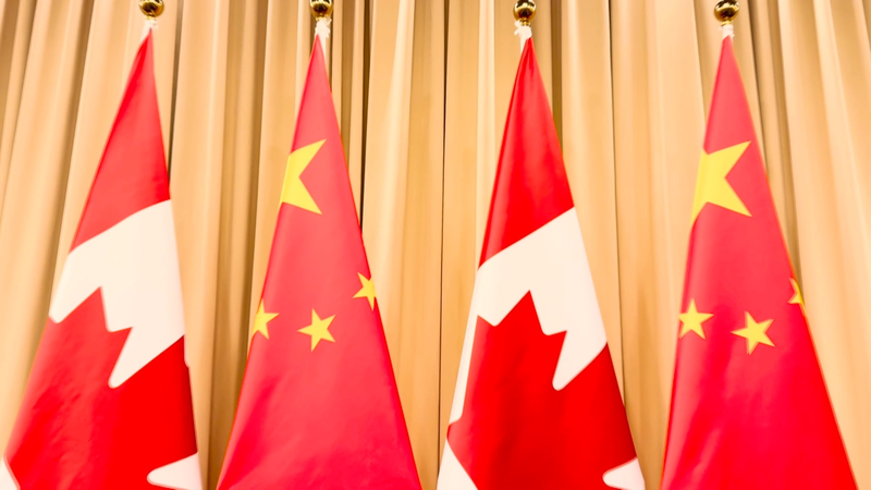 637V5TWYWEUOLSVRZAFU - Thế Giới Trong Tầm Tay Tập Cận Bình gặp Thủ tướng Canada Carney tại Gyeongju video poster