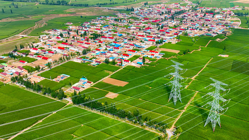 6D4J1RWD4S9WB4M3GH16 - Thế Giới Trong Tầm Tay Sự thúc đẩy văn hóa-du lịch của Wuzhong thúc đẩy sự hồi sinh nông thôn