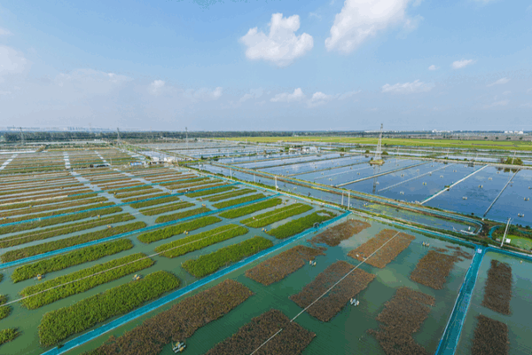 Trung Quốc Tăng Tốc Hướng Tới Mục Tiêu Phát Triển Bền Vững 2030 của LHQ với Năng Lượng Sạch và Phát Triển Rừng Trung Quốc Tăng Tốc Hướng Tới Mục Tiêu Phát Triển Bền Vững 2030 của LHQ với Năng Lượng Sạch và Phát Triển Rừng