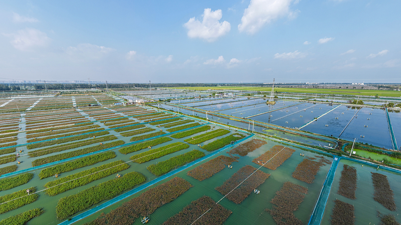 Trung Quốc Tăng Tốc Hướng Tới Mục Tiêu Phát Triển Bền Vững 2030 của LHQ với Năng Lượng Sạch và Phát Triển Rừng