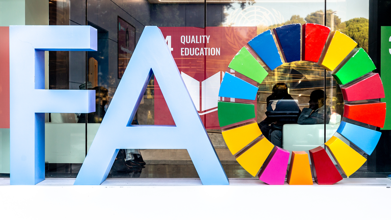 FCV1TRDQIZSB7S2WI50T - Thế Giới Trong Tầm Tay Chủ tịch Tập Cận Bình chúc mừng FAO nhân kỷ niệm 80 năm thành lập