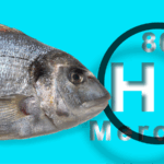 Các nhà khoa học cảnh báo: Hoạt động của con người tăng tốc giải phóng thủy ngân ở đại dương