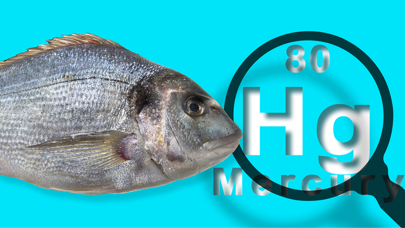 Các nhà khoa học cảnh báo: Hoạt động của con người tăng tốc giải phóng thủy ngân ở đại dương