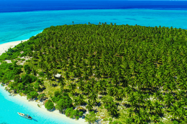 Những câu chuyện APEC: Viên ngọc biển Wakatobi ở Indonesia Những câu chuyện APEC: Viên ngọc biển Wakatobi ở Indonesia