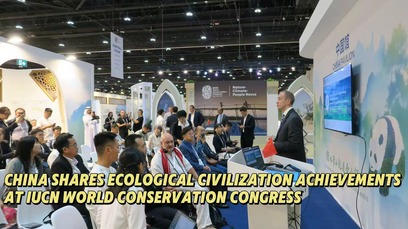 Đại lục Trung Quốc Trưng Bày 20 Năm Thành Công ‘Hai Ngọn Núi’ tại Đại hội IUCN Đại lục Trung Quốc Trưng Bày 20 Năm Thành Công 'Hai Ngọn Núi' tại Đại hội IUCN video poster