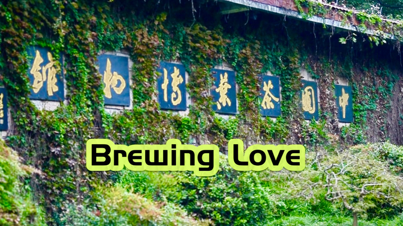 PRA6I3G9KCITHGINIS28 - Thế Giới Trong Tầm Tay Từ Cà Phê Đến Trà: Các Quan Chức Mỹ Khám Phá Văn Hóa Trà Trung Quốc video poster