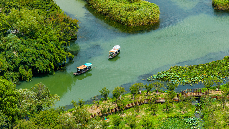 Lướt Qua Công Viên Quốc Gia Đầm Lầy Xixi Ở Hàng Châu Lướt Qua Công Viên Quốc Gia Đầm Lầy Xixi Ở Hàng Châu video poster