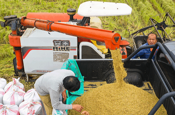 Trung Quốc Đối Phó Với An Ninh Lương Thực: Giải Thích Tác Động Toàn Cầu Trung Quốc Đối Phó Với An Ninh Lương Thực: Giải Thích Tác Động Toàn Cầu