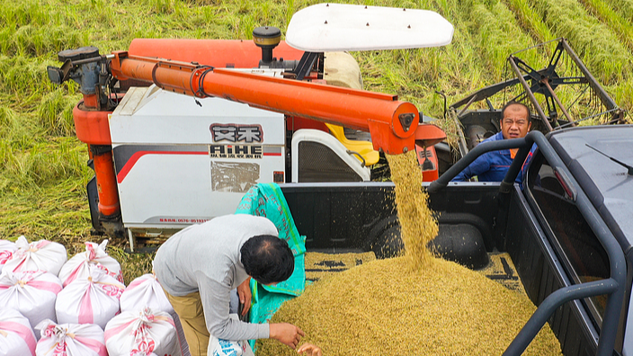 Trung Quốc Đối Phó Với An Ninh Lương Thực: Giải Thích Tác Động Toàn Cầu