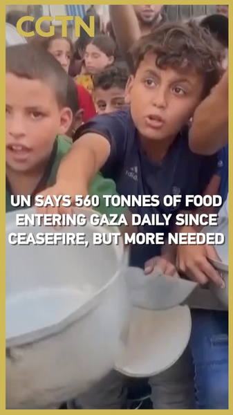560 tấn thực phẩm vào Gaza hàng ngày, nhưng khủng hoảng càng sâu sắc 560 tấn thực phẩm vào Gaza hàng ngày, nhưng khủng hoảng càng sâu sắc video poster