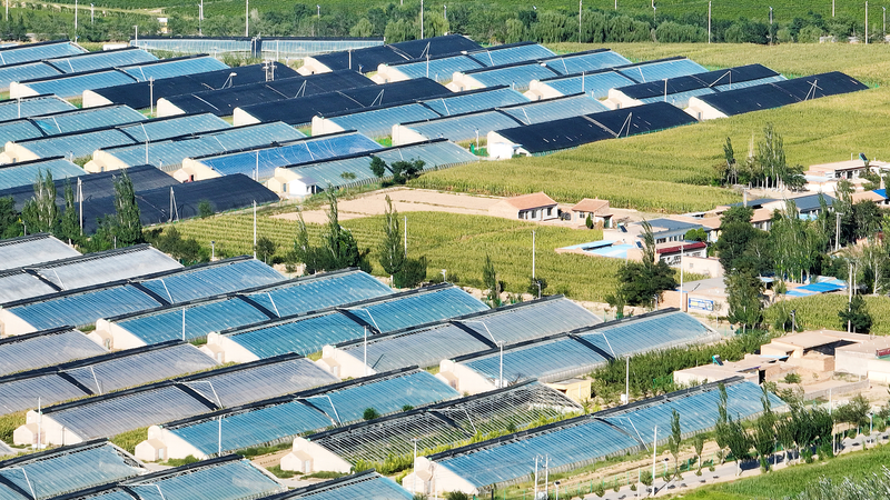 RH2Q98DF4WTAGTW8W9G7 - Thế Giới Trong Tầm Tay Ốc đảo xanh của thị trấn Minning: Từ sa mạc đến thành công bền vững