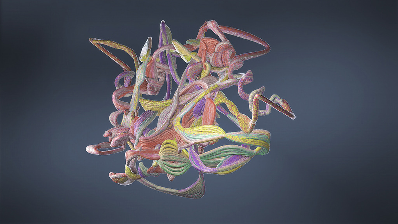 Mô hình Protein AI Phân Giải Sự Tiến Hóa Hội Tụ ở Dơi và Cá Voi