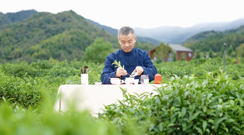 Trà đen Keemun: Truyền thống trong từng ngụm trà Trà đen Keemun: Truyền thống trong từng ngụm trà