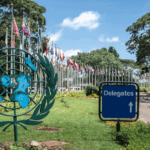 Làm thế nào Liên Hợp Quốc thúc đẩy quản trị môi trường toàn cầu