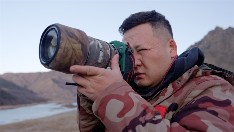 Sự trở lại của Báo Tuyết ở Tân Cương được quay bởi cặp đôi cha-con video poster