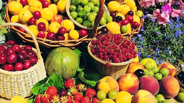 Chính sách Cảng Thương mại Tự do Hải Nam Mở rộng Xuất khẩu Nông nghiệp Chính sách Cảng Thương mại Tự do Hải Nam Mở rộng Xuất khẩu Nông nghiệp
