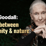 XADJMV606HBFS5J0UJCL - Thế Giới Trong Tầm Tay Jane Goodall: Một Cuộc Đời Kết Nối Nhân Loại và Thiên Nhiên video poster
