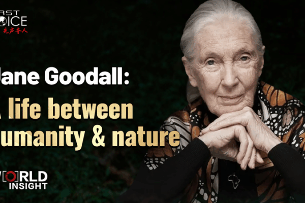 Jane Goodall: Một Cuộc Đời Kết Nối Nhân Loại và Thiên Nhiên Jane Goodall: Một Cuộc Đời Kết Nối Nhân Loại và Thiên Nhiên video poster