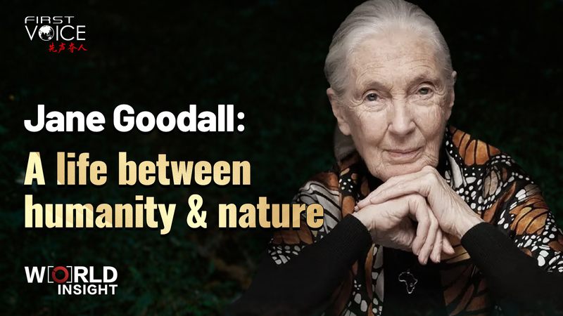 Jane Goodall: Một Cuộc Đời Kết Nối Nhân Loại và Thiên Nhiên video poster