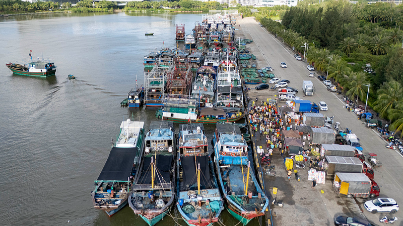 Đảo Hải Nam và Quảng Đông báo động cấp IV khi bão Matmo tiếp cận