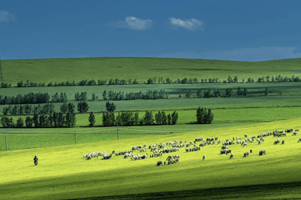 Hạn Hán Nặng Nề Có Thể Tàn Phá Đồng Cỏ, Nghiên Cứu Toàn Cầu Cho Thấy
