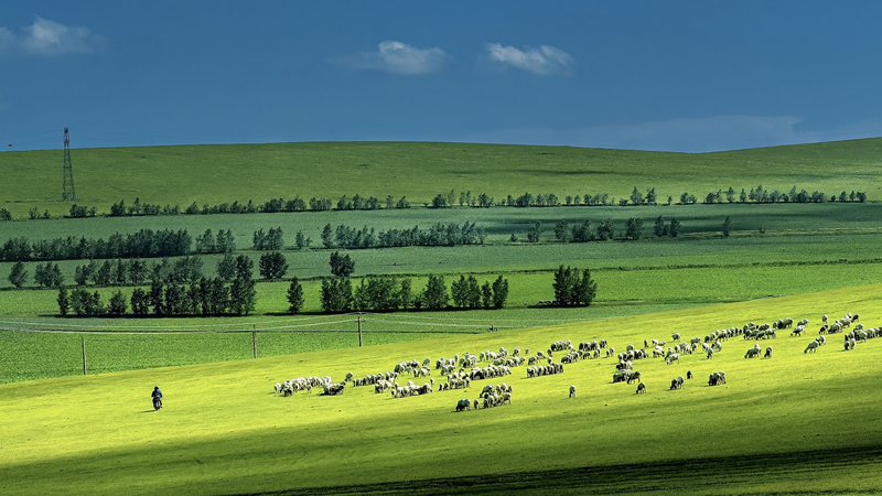 Z45ROGK57M7Q0OUKCGBZ - Thế Giới Trong Tầm Tay Hạn Hán Nặng Nề Có Thể Tàn Phá Đồng Cỏ, Nghiên Cứu Toàn Cầu Cho Thấy