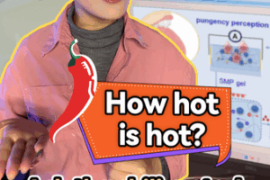 Robot có thể nếm không? 'Thước đo độ cay' mới tại Trung Quốc đại lục video poster