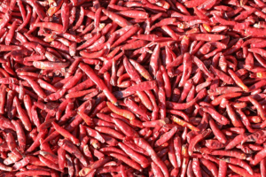 “Máy đo nhiệt cay” bằng gel: Lưỡi nhân tạo chấm điểm độ cay