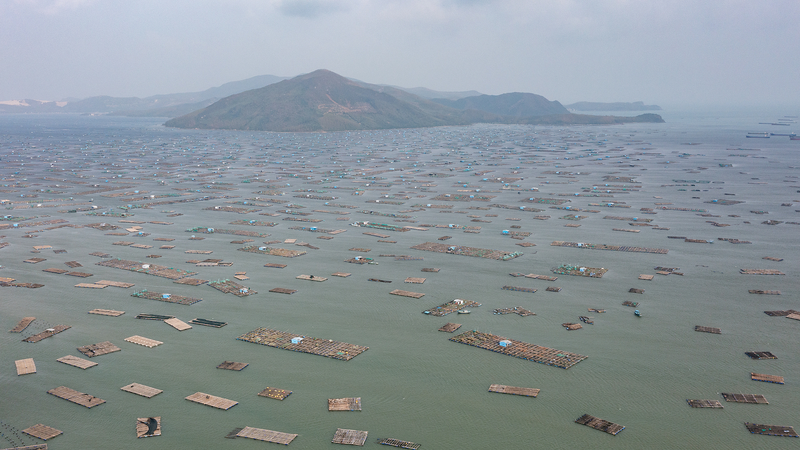 Miền Nam Trung Bộ Việt Nam bị lũ lụt kỷ lục trong 50 năm