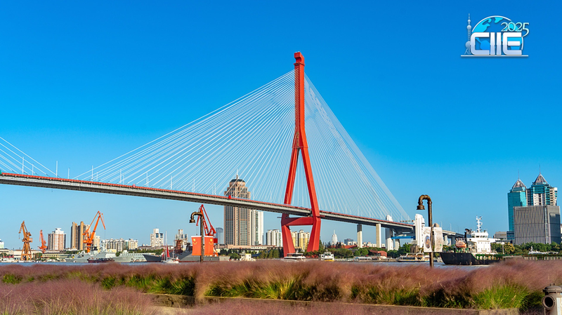 Khám phá Bờ Sông Yangpu của Thượng Hải: Từ Trung Tâm Công Nghiệp đến Nơi Nghỉ Dưỡng Ven Sông video poster