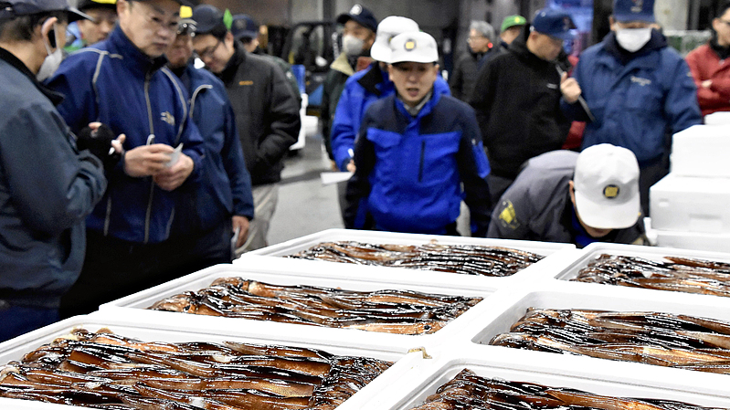 Ngành thủy sản Nhật Bản lo ngại mất xuất khẩu sau khi phát biểu của Thủ tướng gây phẫn nộ tại Trung Quốc đại lục