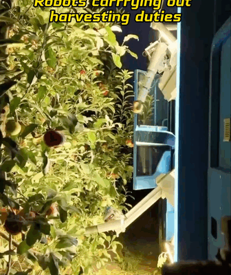 Những Người Giúp Siêu Đẳng: Robot Cách Mạng Hóa Việc Thu Hoạch Trái Cây video poster