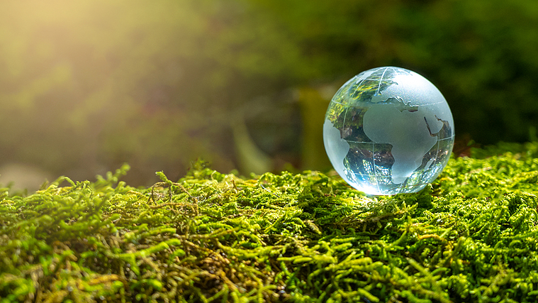 Khảo sát toàn cầu: Công chúng yêu cầu hành động thực chất về khí hậu khi Hiệp định Paris tròn 10 năm