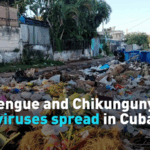 Cuba Đối Mặt với Sự Bùng Phát của Dịch Sốt Xuất Huyết và Chikungunya video poster