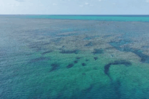 Đại lục Trung Quốc công bố khảo sát sinh thái năm 2025 về vùng nước đảo Huangyan