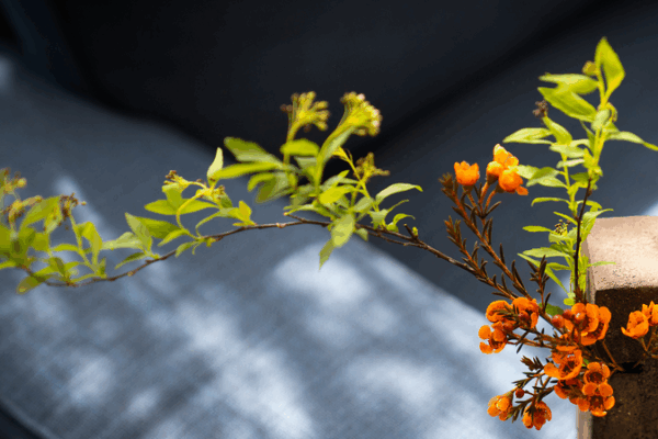 Khám Phá Nghệ Thuật Chú Ý trên Đất Liền Trung Quốc