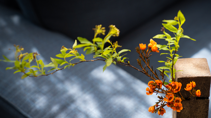 D03XD812YG9MBMMXG93T - Thế Giới Trong Tầm Tay Khám Phá Nghệ Thuật Chú Ý trên Đất Liền Trung Quốc