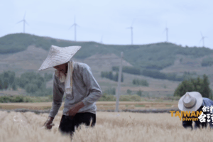 Yang Du: Dệt các mối quan hệ xuyên eo biển qua văn học video poster