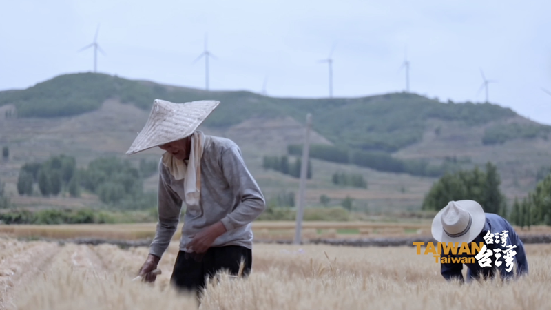 Yang Du: Dệt các mối quan hệ xuyên eo biển qua văn học video poster