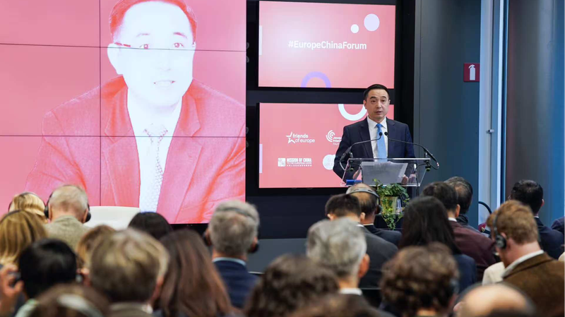 Trung Quốc và EU Hợp Tác Vì Một Thế Giới Đa Cực Ổn Định, Đại Sứ Nói